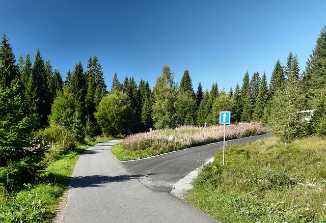 křižovatka u lesa
